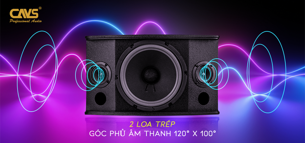 Loa Karaoke CAVS LD-710