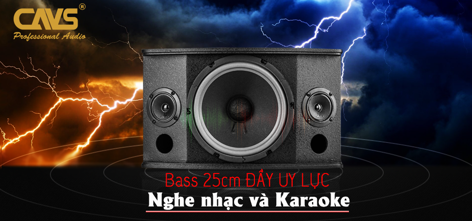 Loa Karaoke CAVS LD-710