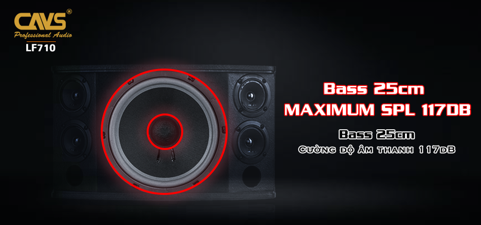 Loa karaoke CAVS LF-710