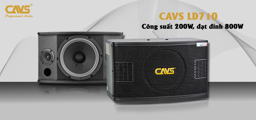 Loa Karaoke CAVS LD-710