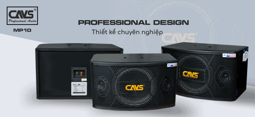 Loa Karaoke CAVS MP10
