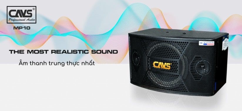 Loa Karaoke CAVS MP10