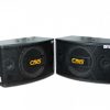 loa cavs mp 10