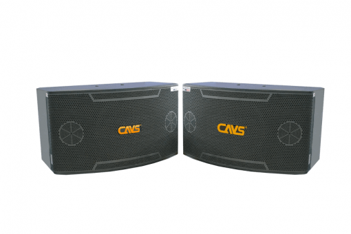 Loa cavs sp 650