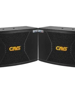 Loa Gia Dinh Cavs Cx10 Doi