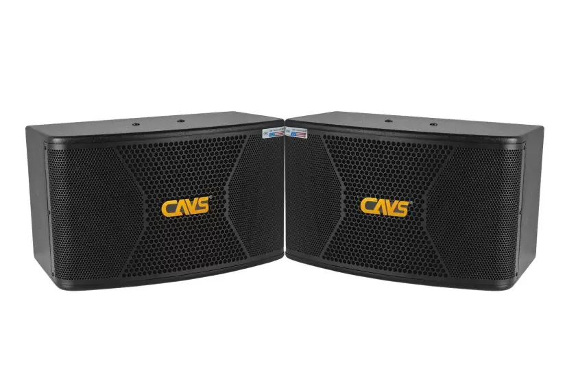 Loa Gia Dinh Cavs Cx10 Doi