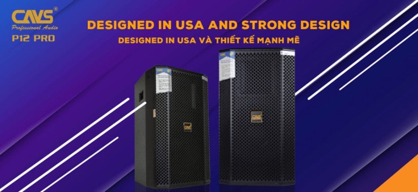 Loa đầy đủ CAVS P12 Lite