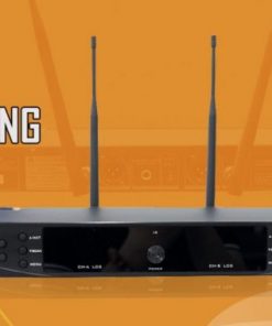 T4Z2 1024x472 2 e1625119739204