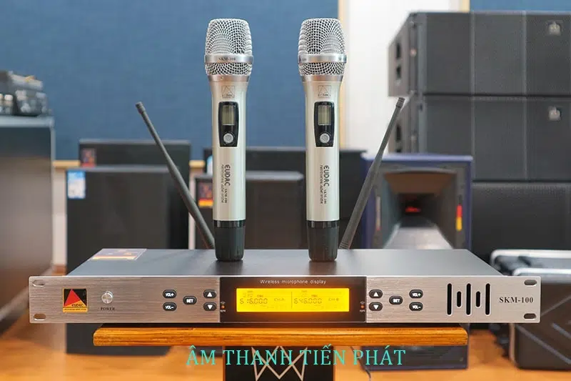 Micro Karaoke Eudac Audio Skm 100 