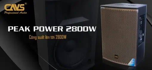 Loa Kéo Cavs Pg15s Bass 40 Tien Phat