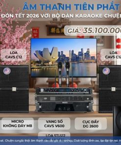 Bộ Dàn Karaoke Gia Đình Chuyên Nghiệp CAVS C12 - Âm Thanh Tiến Phát Bình Dương | Giá Chỉ 35.100.000 VNĐ